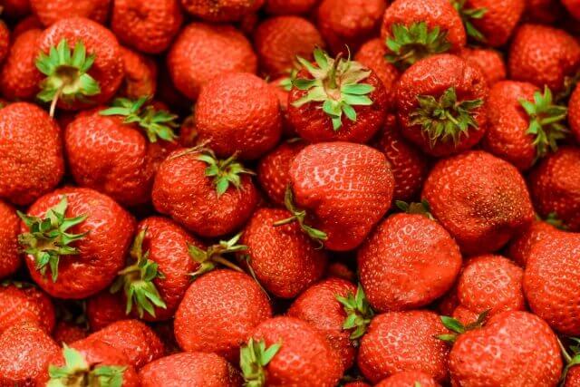 Studie Ernährung Ernährungsmedizin Facharzt